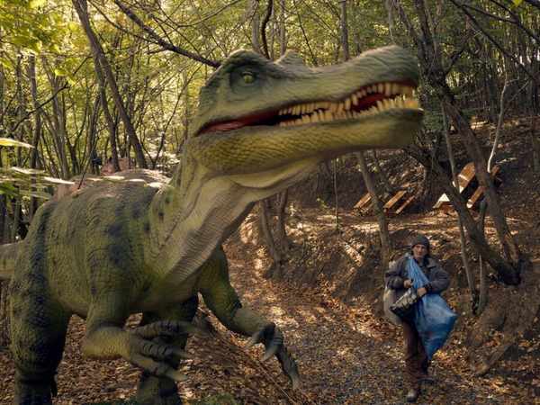 Picture for event Kontinental 25