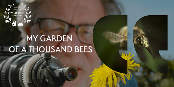 Picture for event My Garden of a Thousand Bees