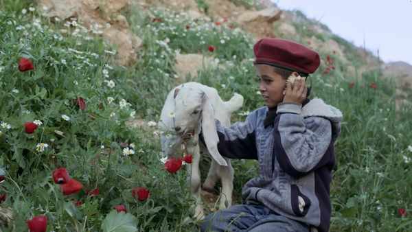 Picture for event Bristol Palestine Film Festival: 5 Short Films