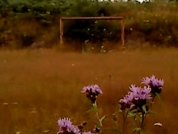 Picture for event Dry Leaf