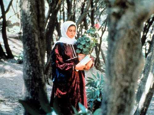 Picture for event Through the Olive Trees