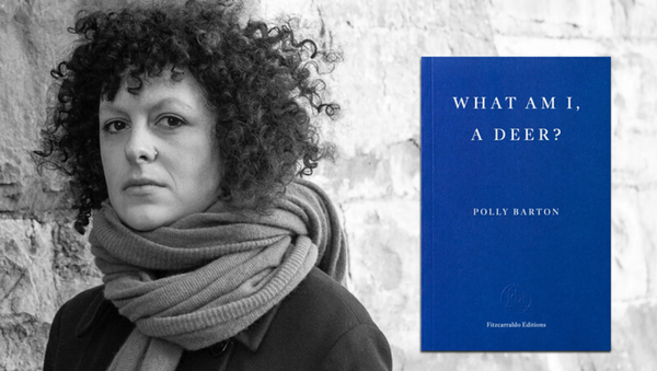 Picture for event Polly Barton: What Am I, A Deer?