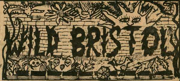 Picture for event Radical Counter Culture in the West Country from the 1960's to 1980's